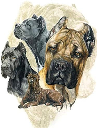 QGHZSCS צבע לפי מספרים ציור דיגיטלי בעלי חיים אמנות כלב ערכות תפאורה ביתיות מתנה תחביב מתנה B3