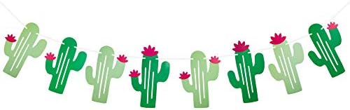 MORNDEW CACTUS BANNER FOR MEXICAN PIESTA PARTA PARADY PARTY HAWDY HABY HABEY SECORE PARDING KINDTING KINKTIN
