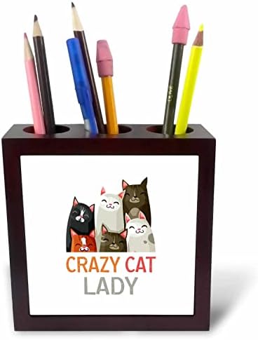 3 דרוז חתולים מצחיקים - ליידי חתולים משוגעים. מתנה מדהימה לחתול, חיית מחמד ... - מחזיקי עט אריחים