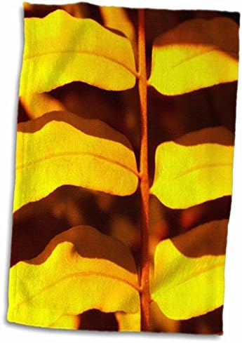 צמחי מאקרו של פלורן 3drose - סוניסייד למעלה - מגבות